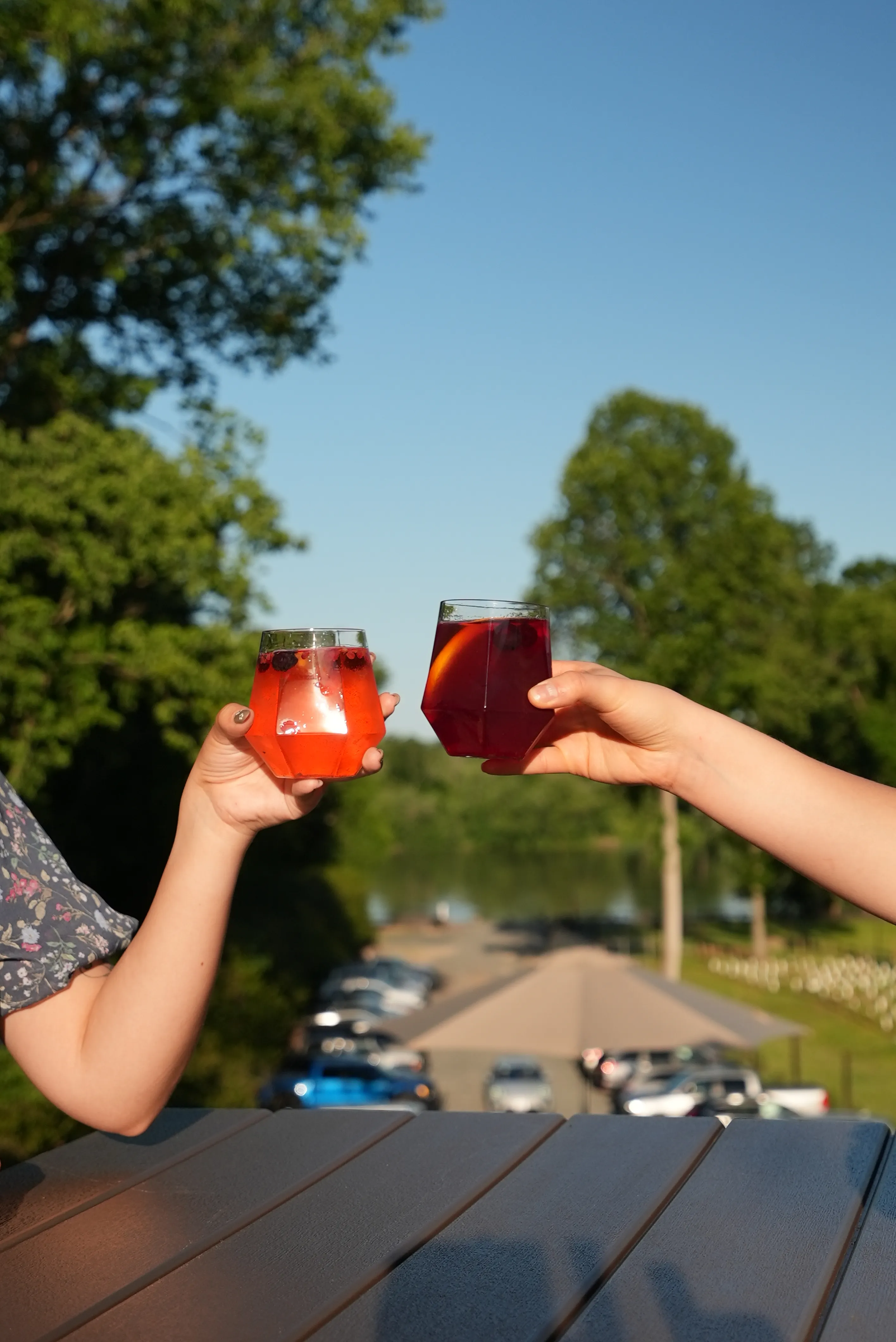 Two glasses of wine toasting over the Potomac at Whites Ferry