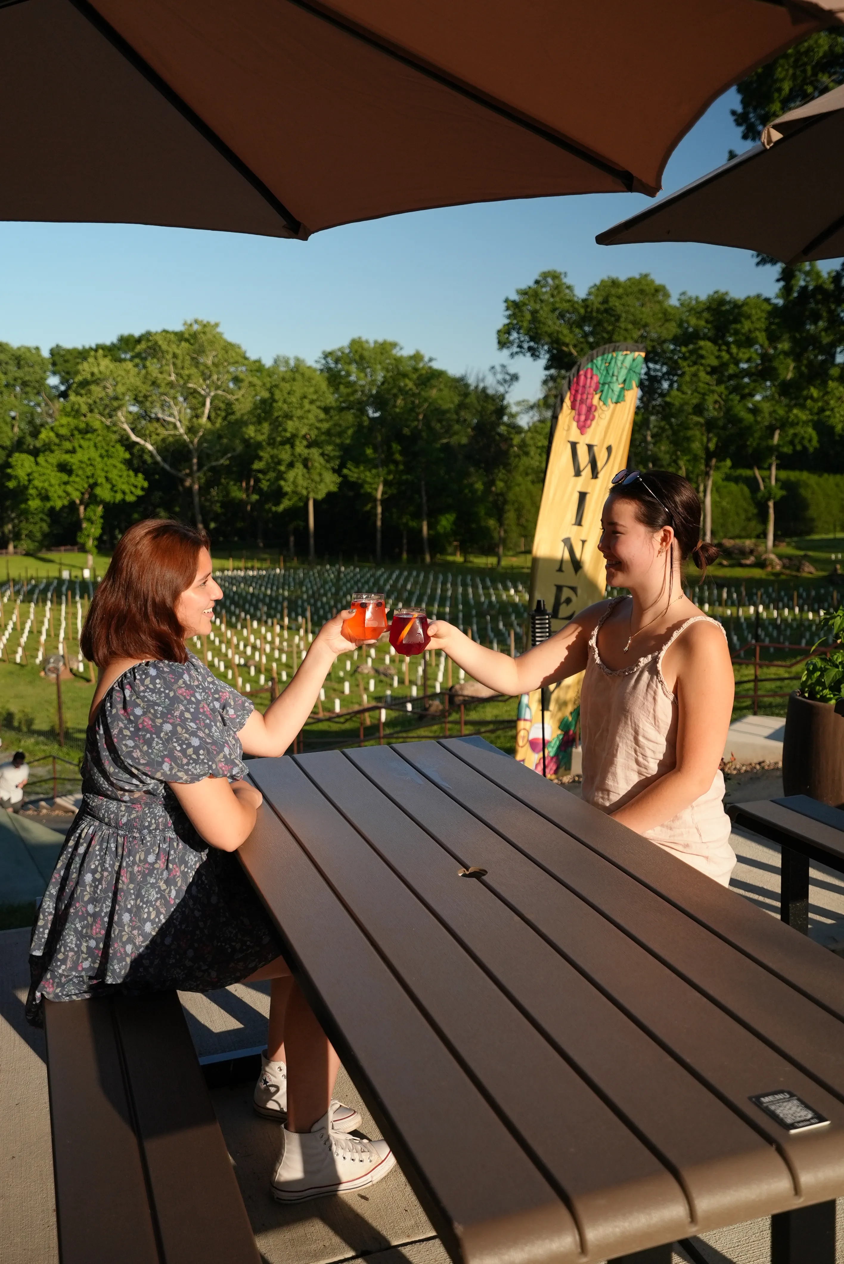 Guests toasting at a table by the Whites Ferry vineyard